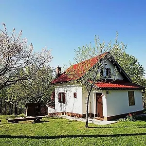 https://holiday-home-coprnicka-hisa-skrad.primorje-gorskikotar.com